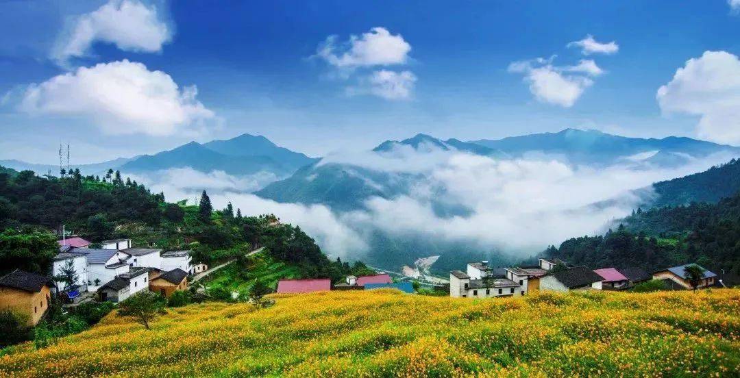 茶叶定制化服务是什么_茶叶定制化服务_茶叶企业定制