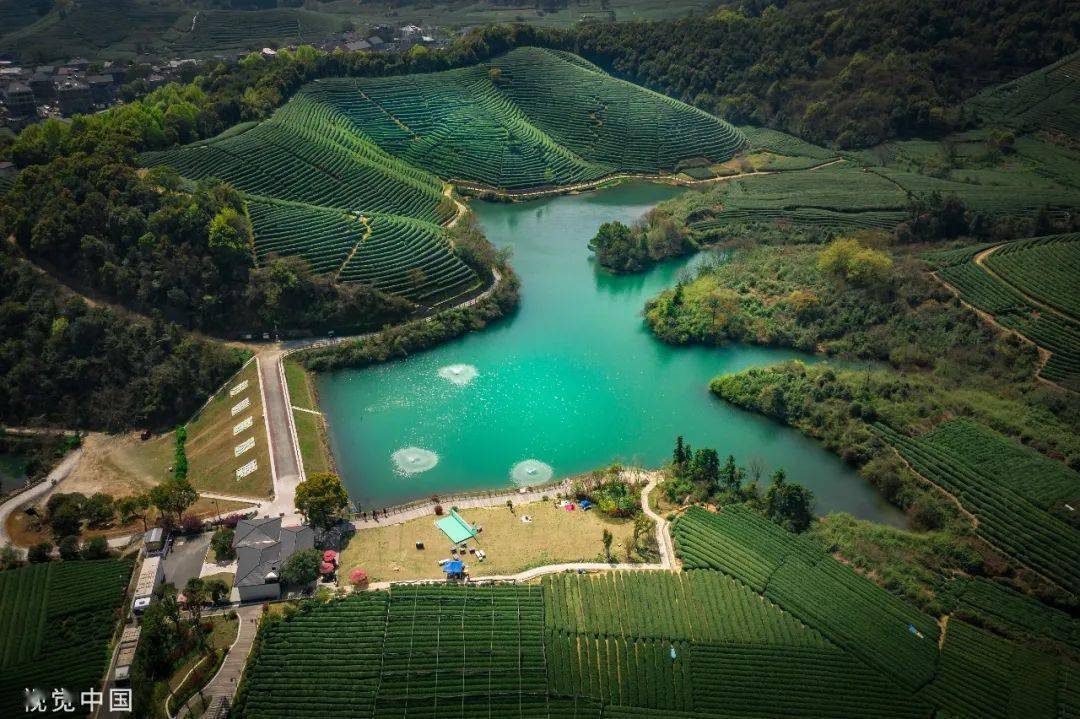 杭州龙坞水库图片