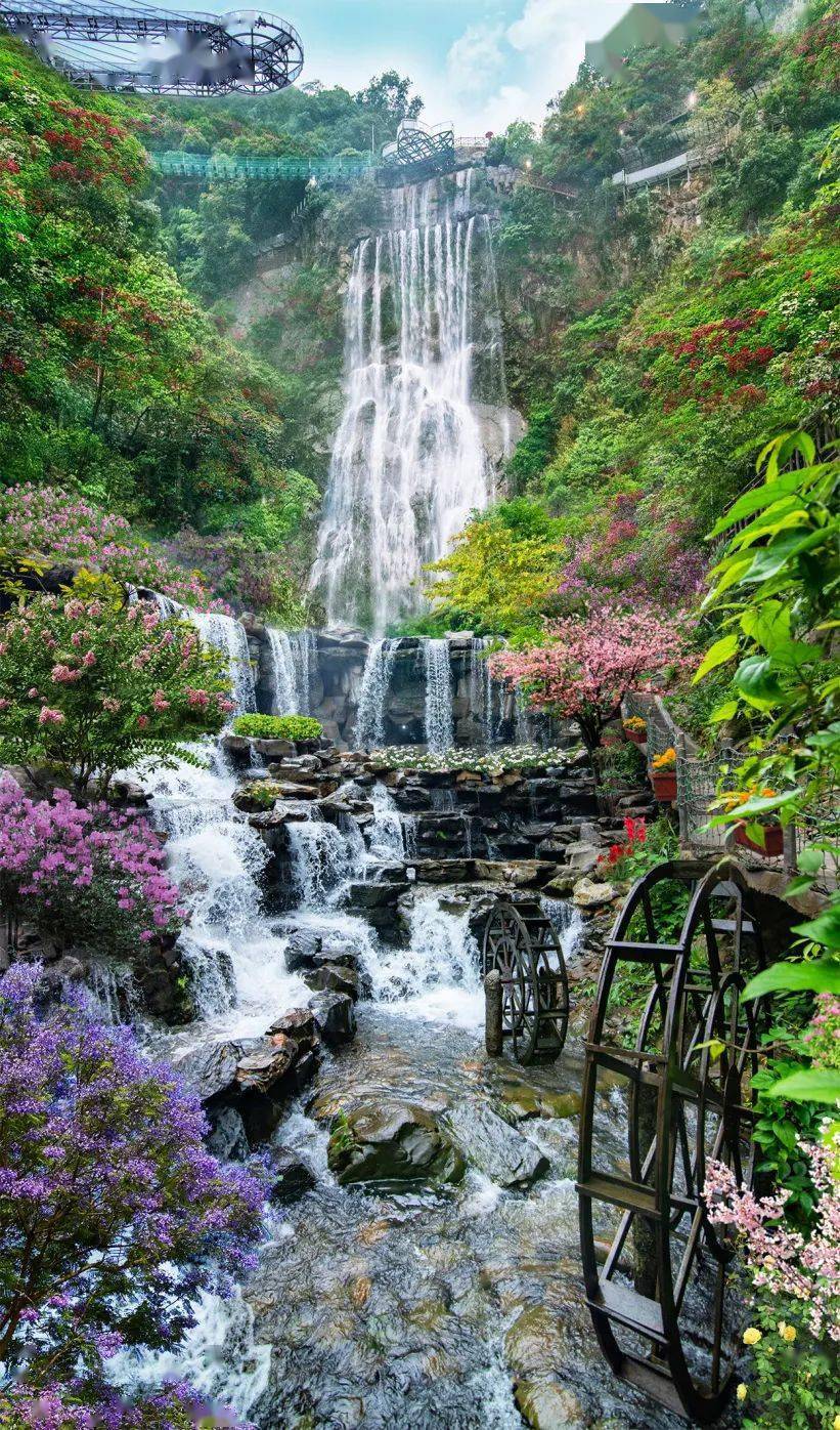 【3月12,15日出发,238元/人】十里花溪漫山艳,花海狂飙古龙峡:清远