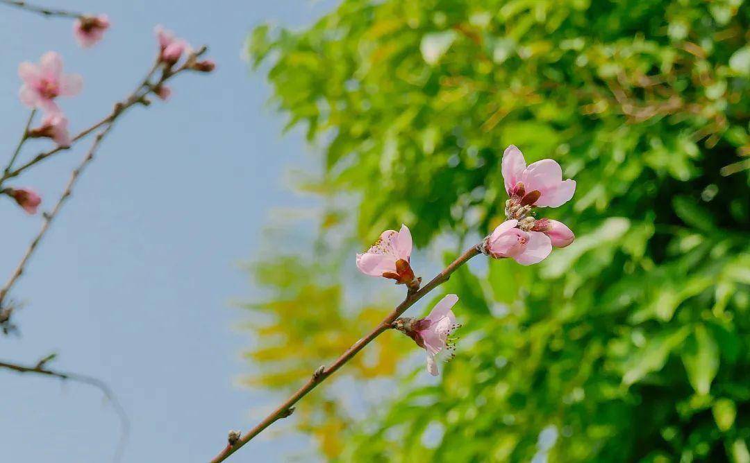 一木花言护肤品图片