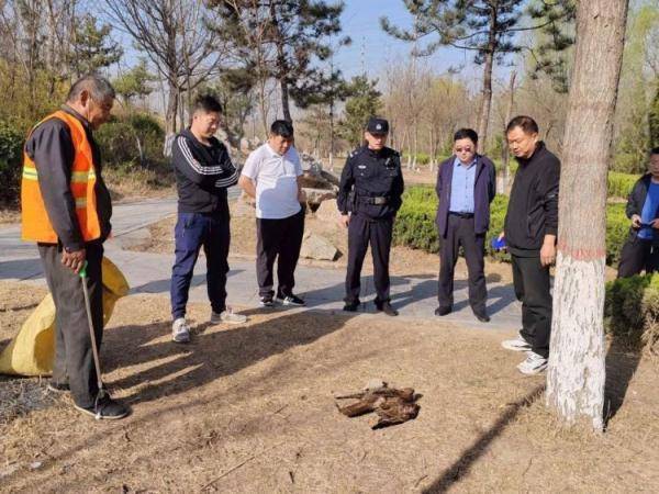 他在金牛湖国家湿地公园北山脚下发现了一只"老鹰",疑似受伤