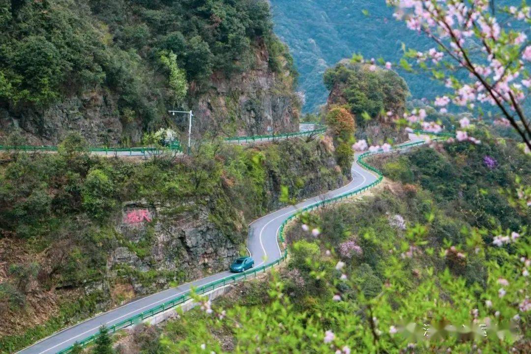 提出"美丽公路"的理念,相继5年,对皖南川藏线桃岭路先后投资6000万元