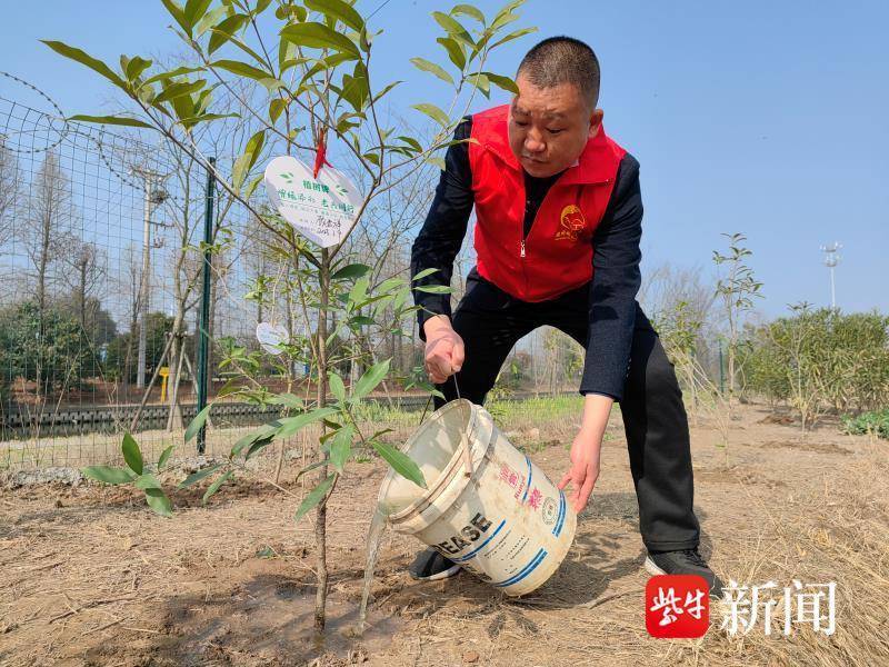 “党建红+橄榄绿”张家港市乐余镇庙港村开展“增绿添彩老兵先行”植树节活动