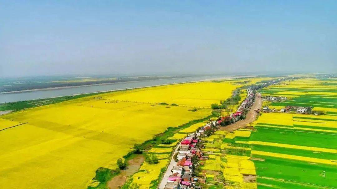 花漾九江·追浔季 | 阳春三月,来彭泽棉船镇打卡绝美油菜花田