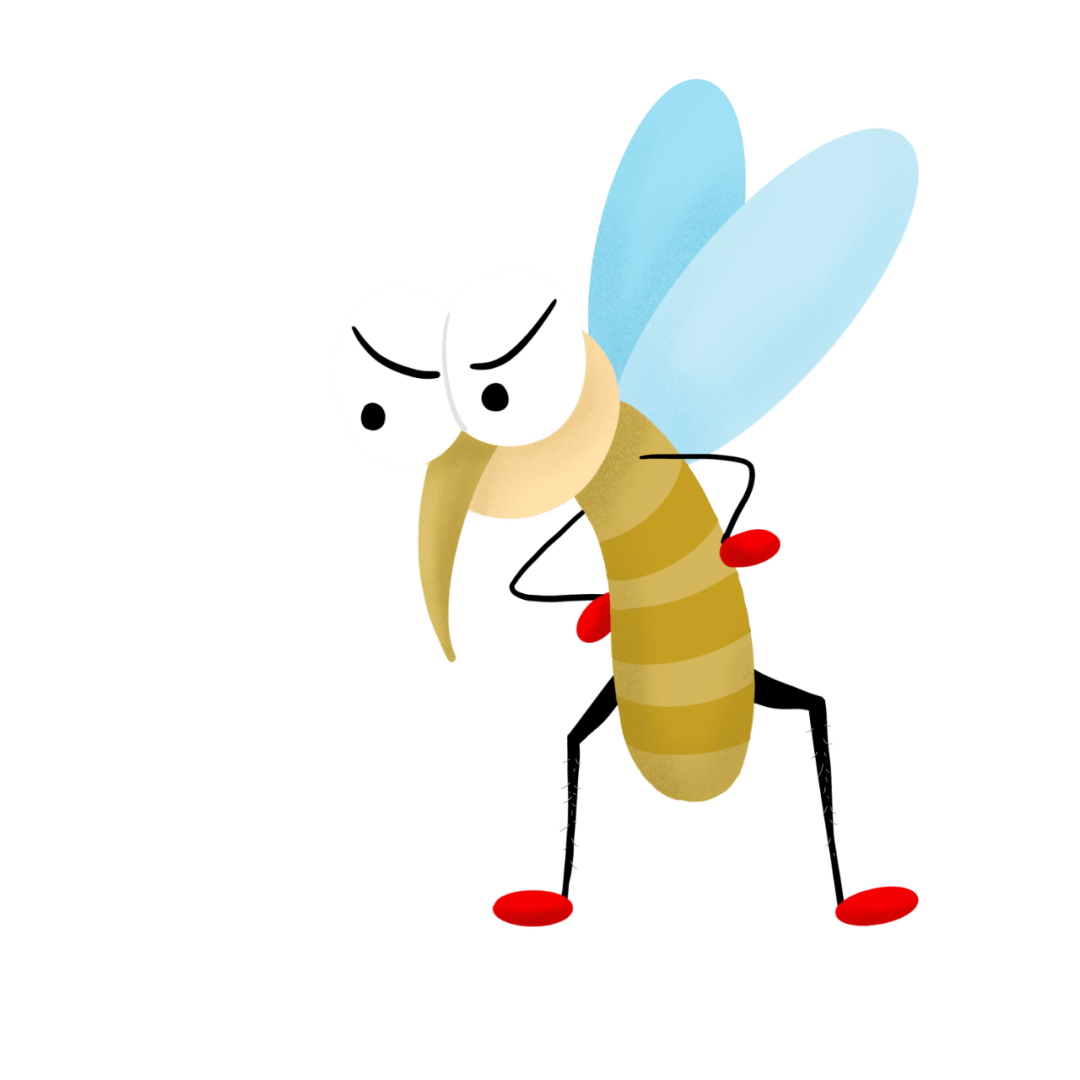 嗡嗡嗡討人厭的死蚊子，要教你人生 6 大哲學 | VidaOrange 生活報橘