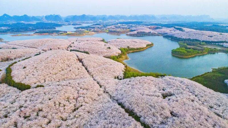 人民网专访全国人大代表、贵阳市市长马宁宇：对峙财产为要 以高量量开展推进贵阳贵安现代化建立