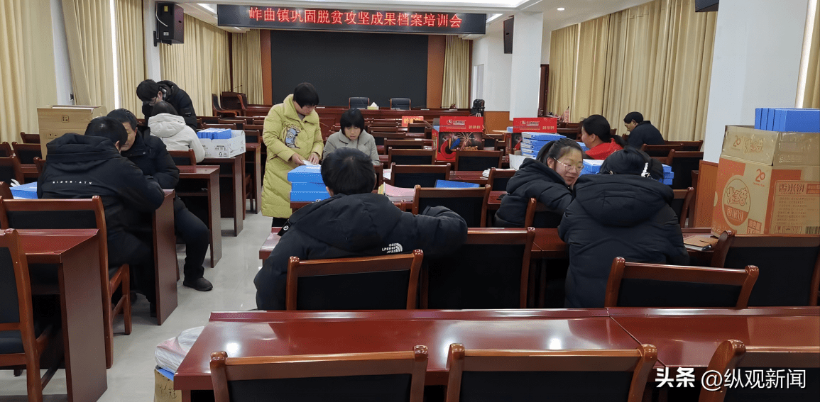 内乡县岞曲镇:加强村级档案建设 服务乡村振兴大局_工作_进行_业务