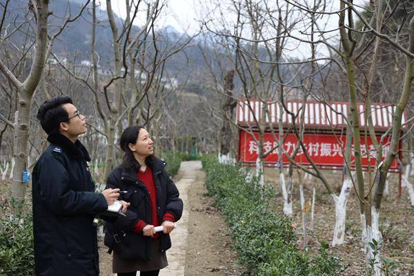 植树护林 “税务蓝”为渝添新绿