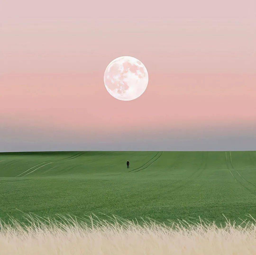 背景图 | 三月必备的春天氛围感背景图676767 676767