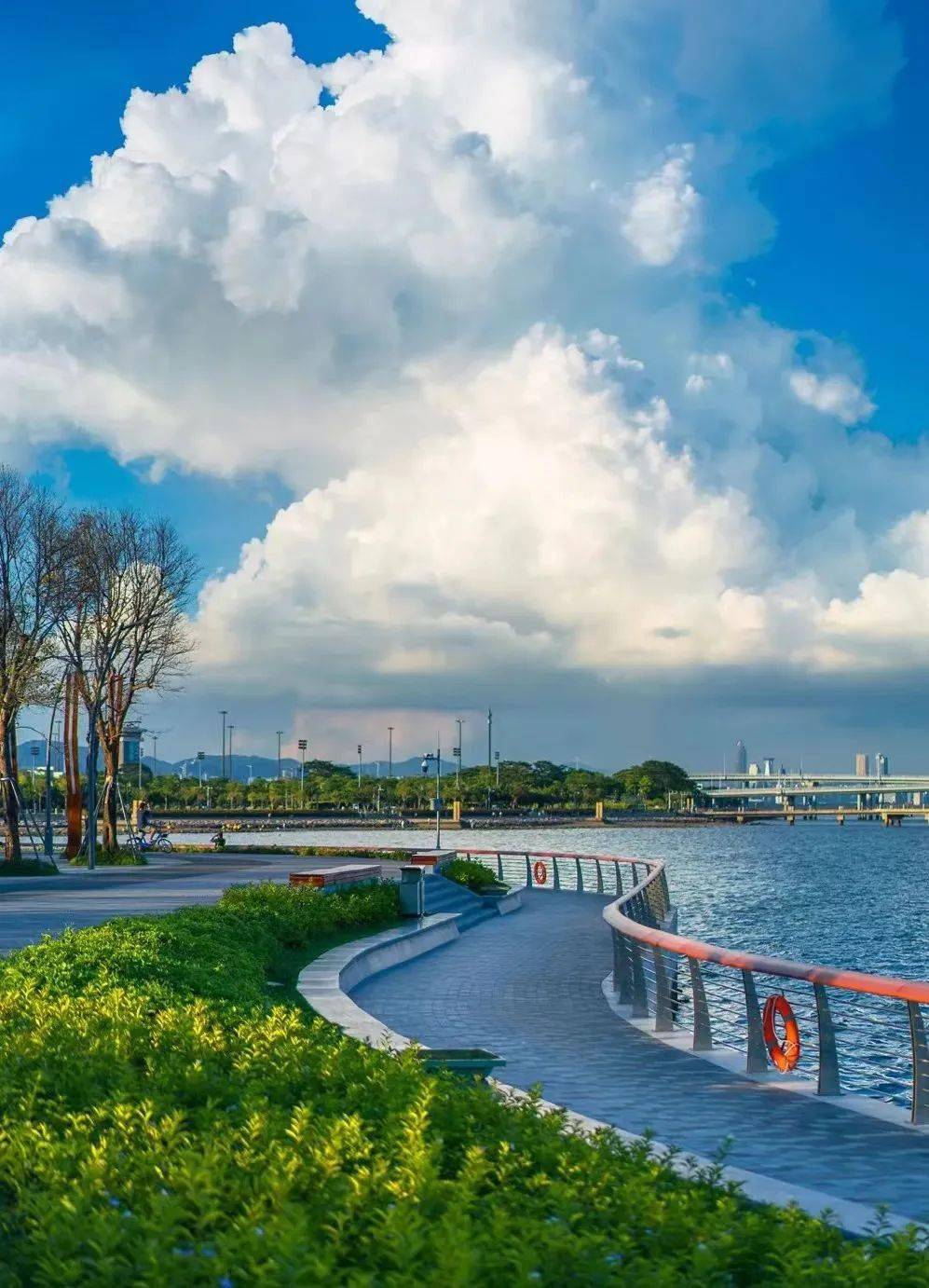 打卡深圳最美绿道,深铁"踏青号"继续出发→_地铁_攻略_梅林