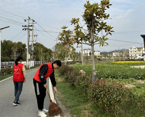杨梓镇开展"雷锋精神永传承 人居环境再提升"志愿服务活动_实践_理念
