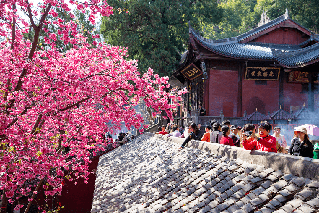 千年古刹光福寺图片