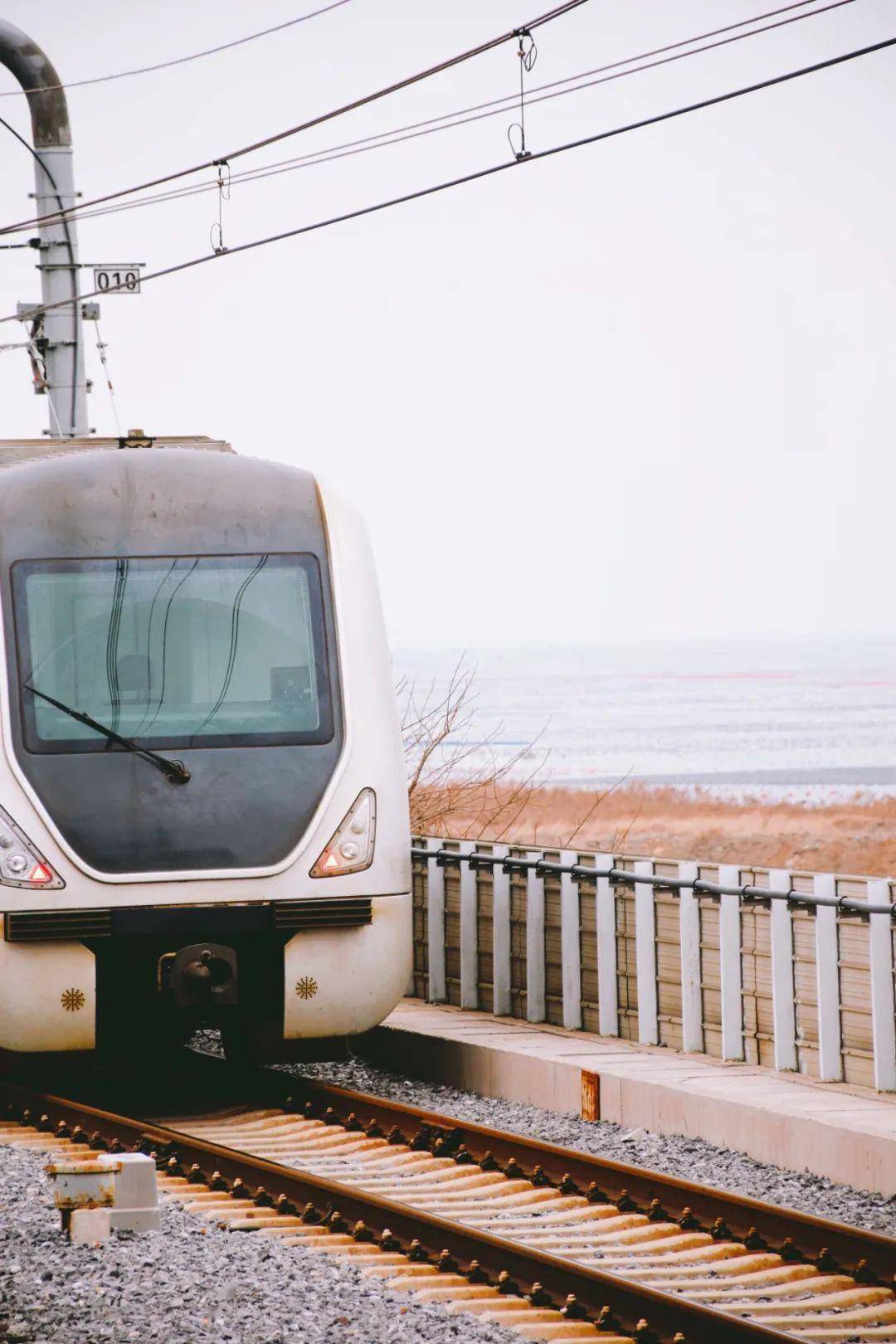 晨星在通往旅顺的轻轨12号线上,有一个可以看海的地铁站——塔河湾站 
