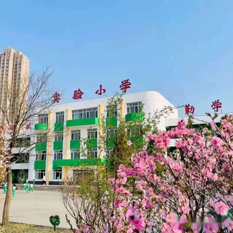 【双减多元拓展篇】东胜区实验小学:凝心双减 聚力常规 促进发展——"