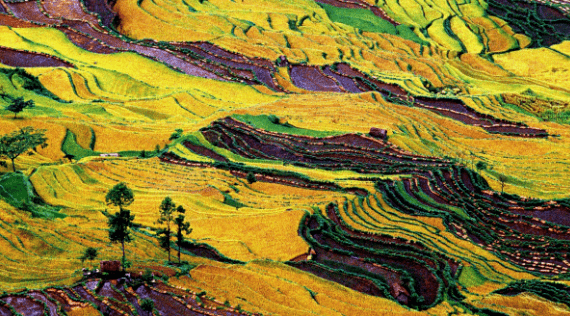 有一种叫云南的生活 | 红河县:四季梯田美如画