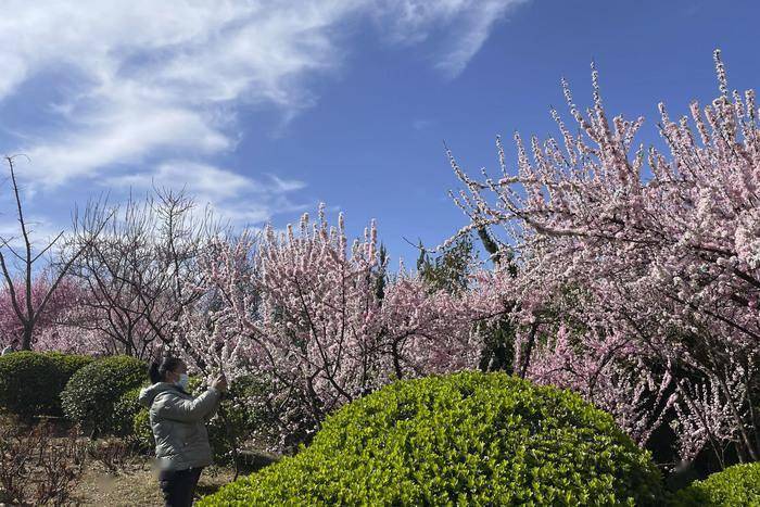 处处公园处处春① | 高新区马山坡公园:寻觅山水间都市桃花源