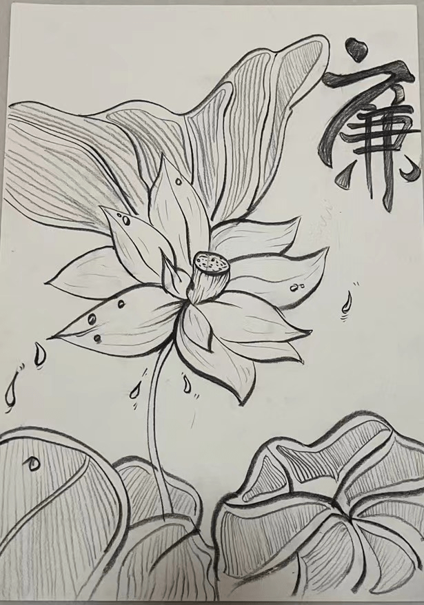 清廉素描图片