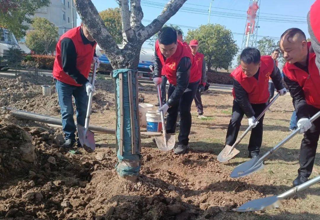 湖北省监利县朱河镇图片