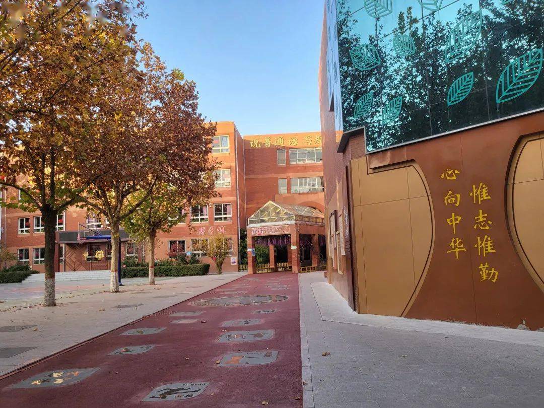 与春相约 邂逅最美书屋——中华大街小学承办新华区中小学图书馆现场