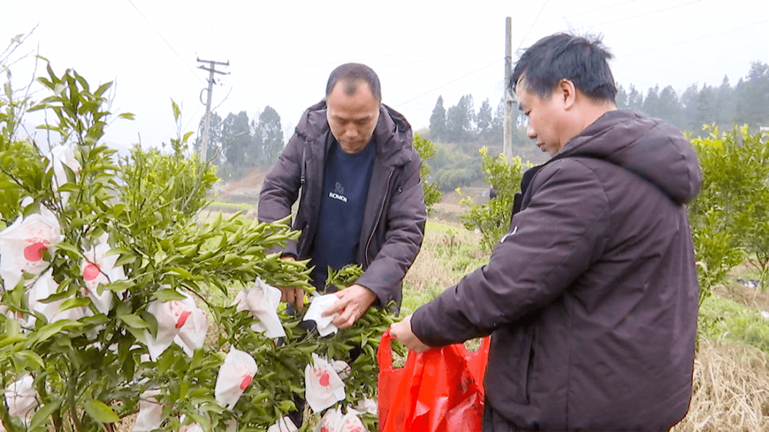 遵义县泮水镇名人图片