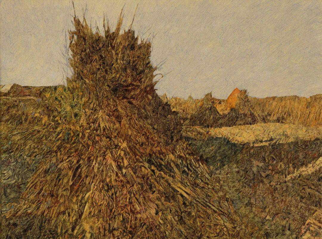 新展预告 | 绽放——谭尚勤油画艺术展_今日美术馆_展览_cm