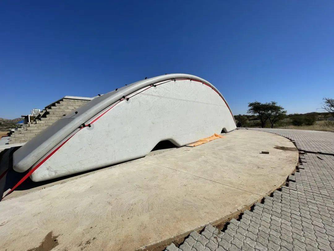 真· 蘑菇屋_真菌_建筑_菌丝体