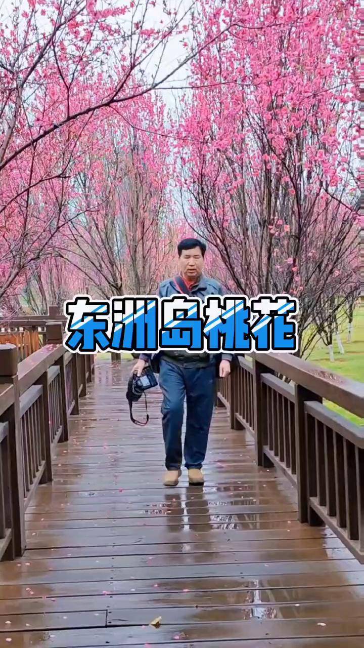 衡阳东洲岛桃花图片