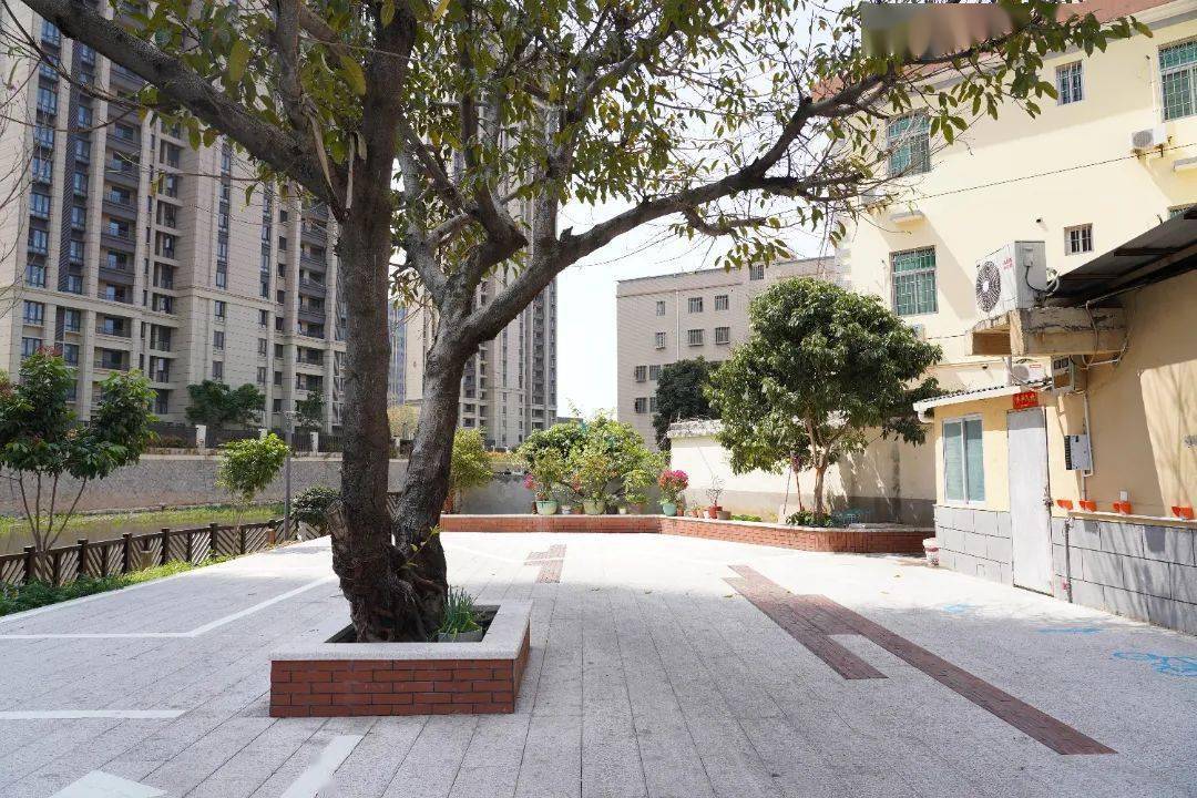 创建全国文明典范城市丨厦门海沧:"全国文明村"渐美村又添新地标