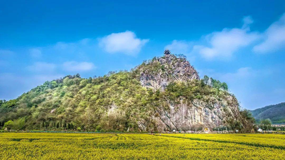 相约安徽·向春而行 | 探寻泾县小众赏花秘境,在油菜花海间度过悠长