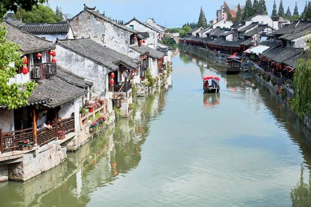 枫泾古镇 乌篷船