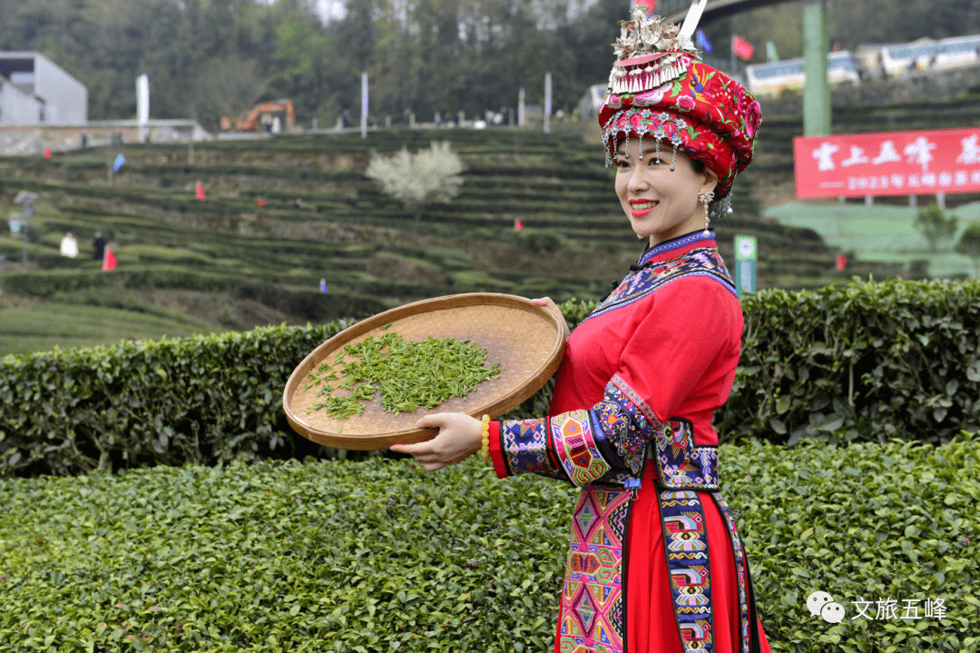 宜昌_茶葉_公園