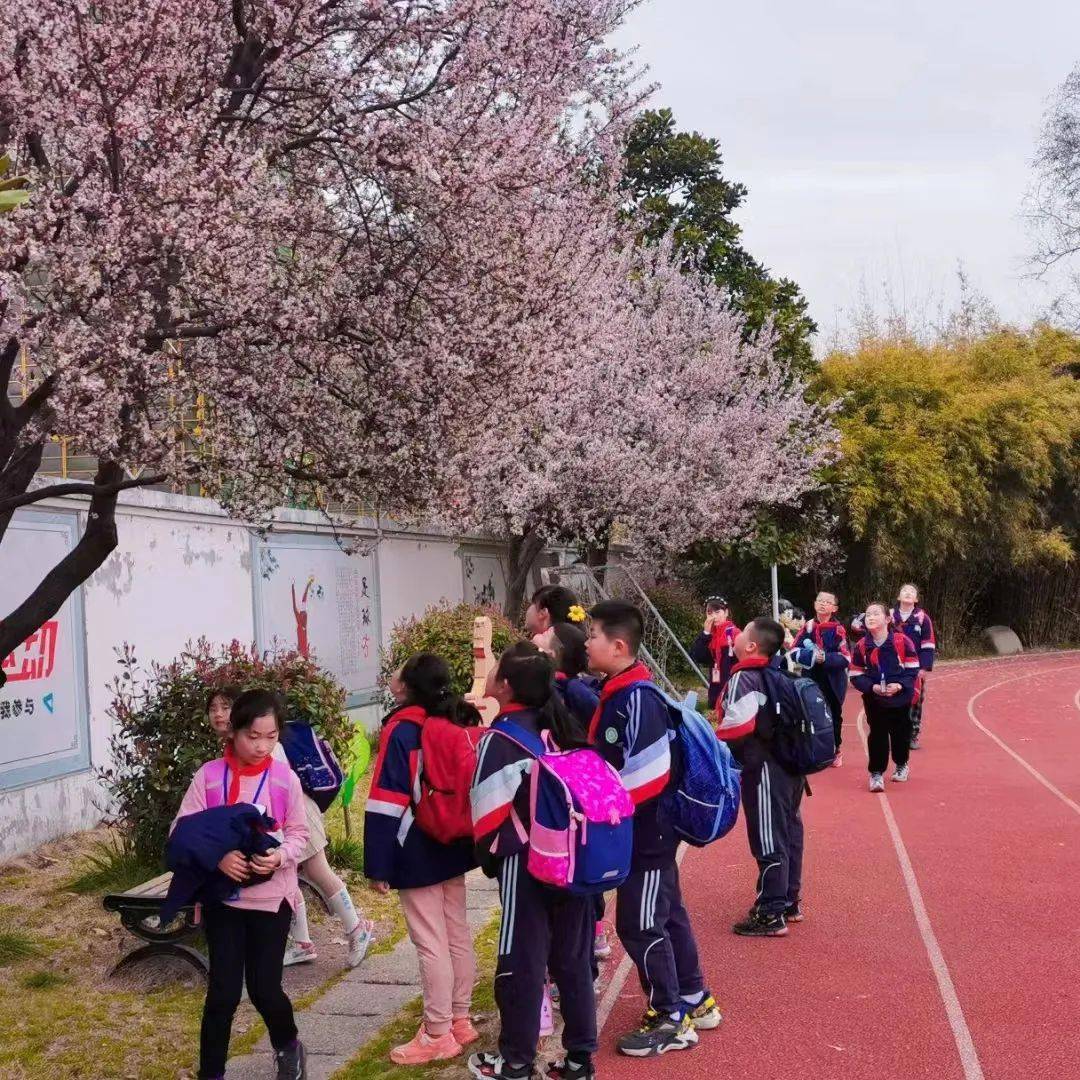 瓜埠初级中学图片