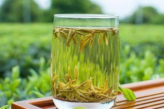 每种茶叶有哪些功效_花茶_功能_黄茶