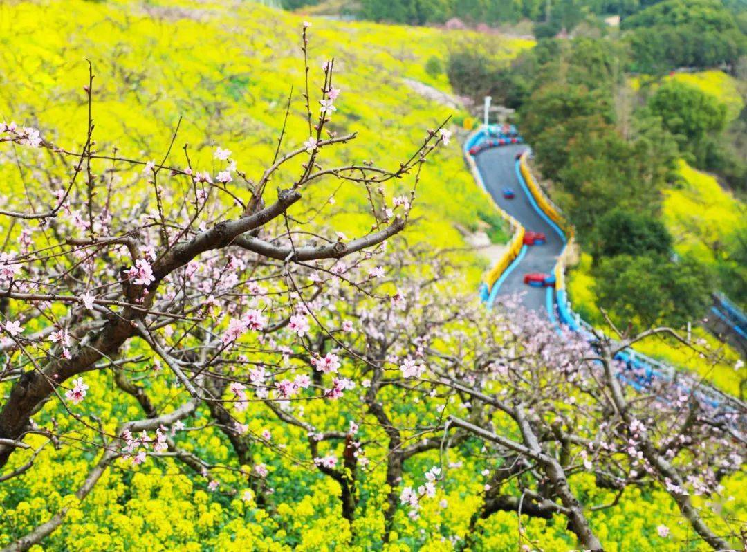 长兴县_和平镇_惠民