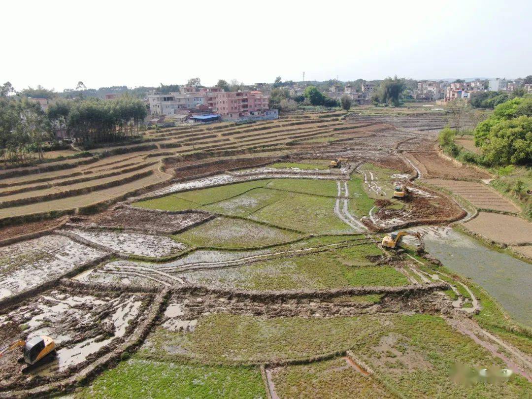 圍觀桂平大灣鎮村民,閒置土地還能這樣搞!_進行_種植_種養