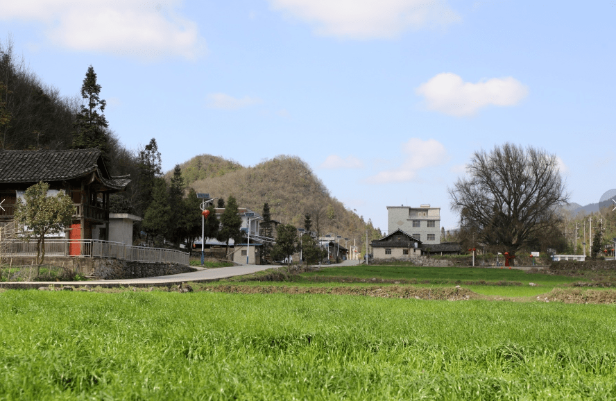 印江县:乡村"法律明白人"护航乡村振兴_法治_杨柳镇_梵净山