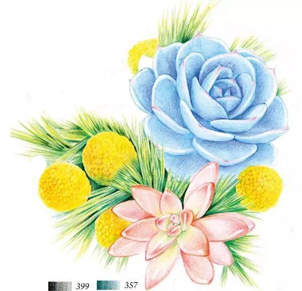 彩铅教程 | 多肉捧花,小清新,易上手!_版权_水彩_知识
