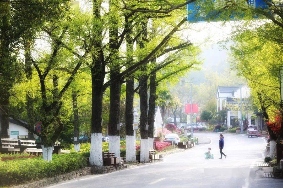 长兴2个村被评为市级美丽庭院特色村_图影村_小浦镇_太湖