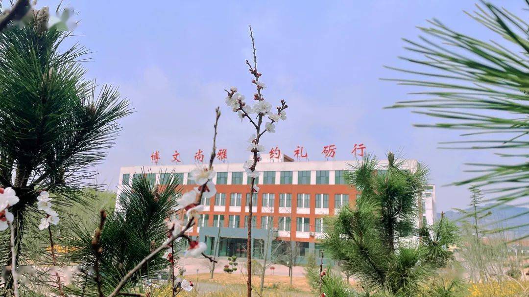 中小学于里初中莲海学校松柏中心校实验学校青山学校五莲中学五莲一中