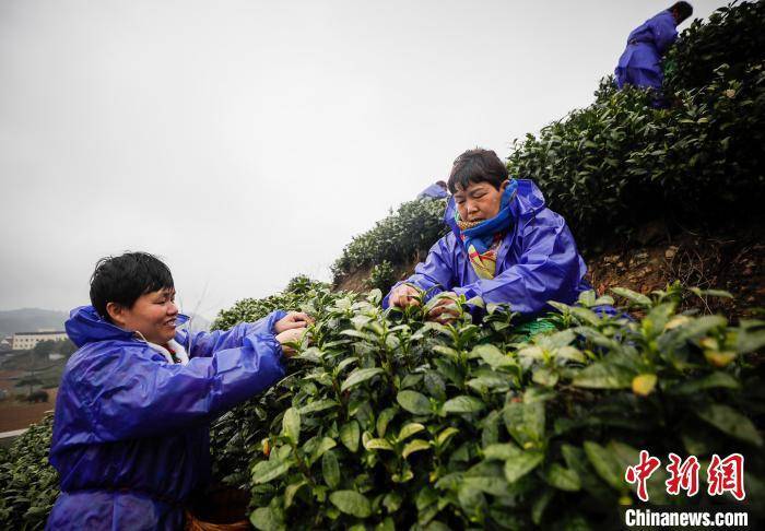 深度揭秘（销售计划书）市场营销计划书 第2张