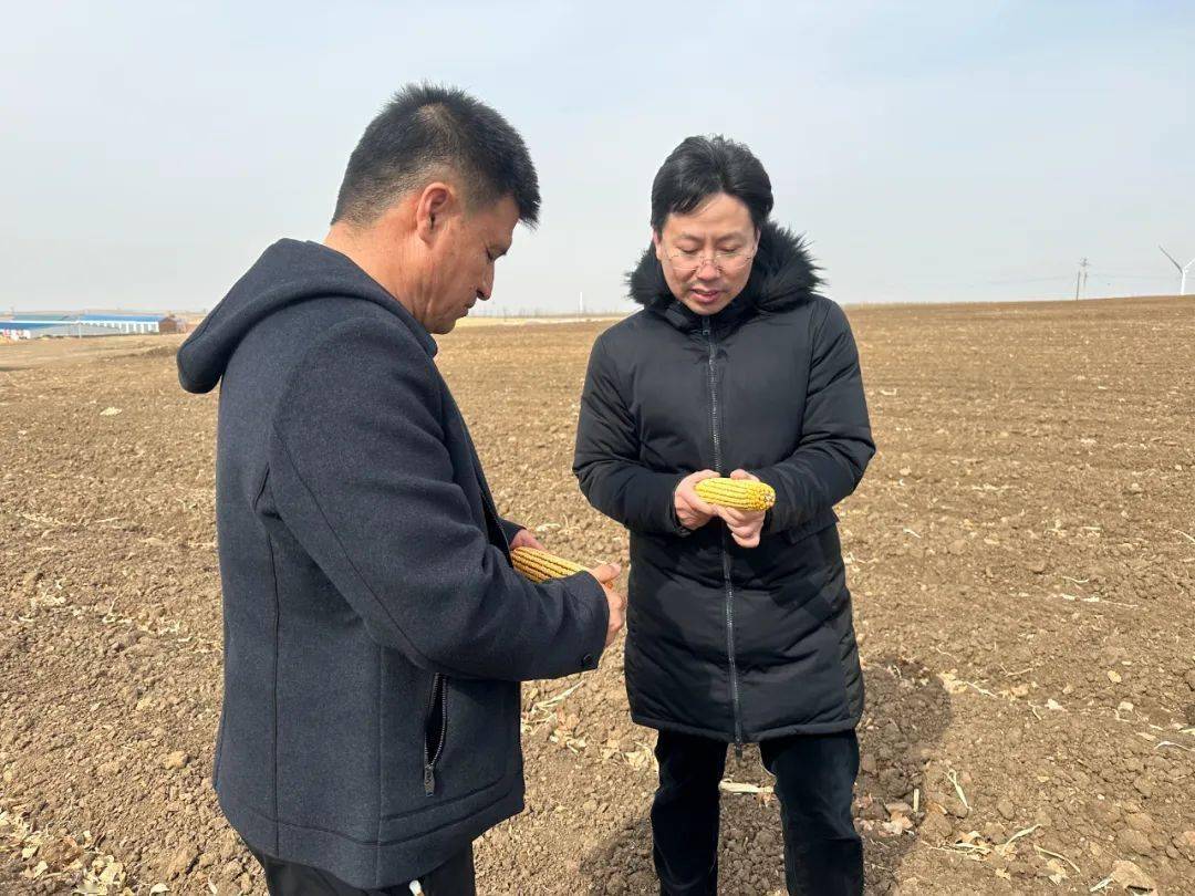 陈海华:用科技的力量守护黑土地_河湾_示范_农业