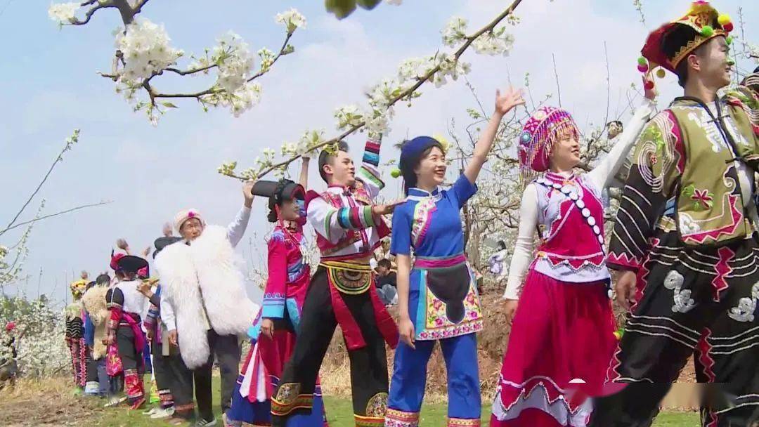 万亩梨园最炫民族风,传统白族歌舞竞演,火腿巧匠展技艺……最近的云龙
