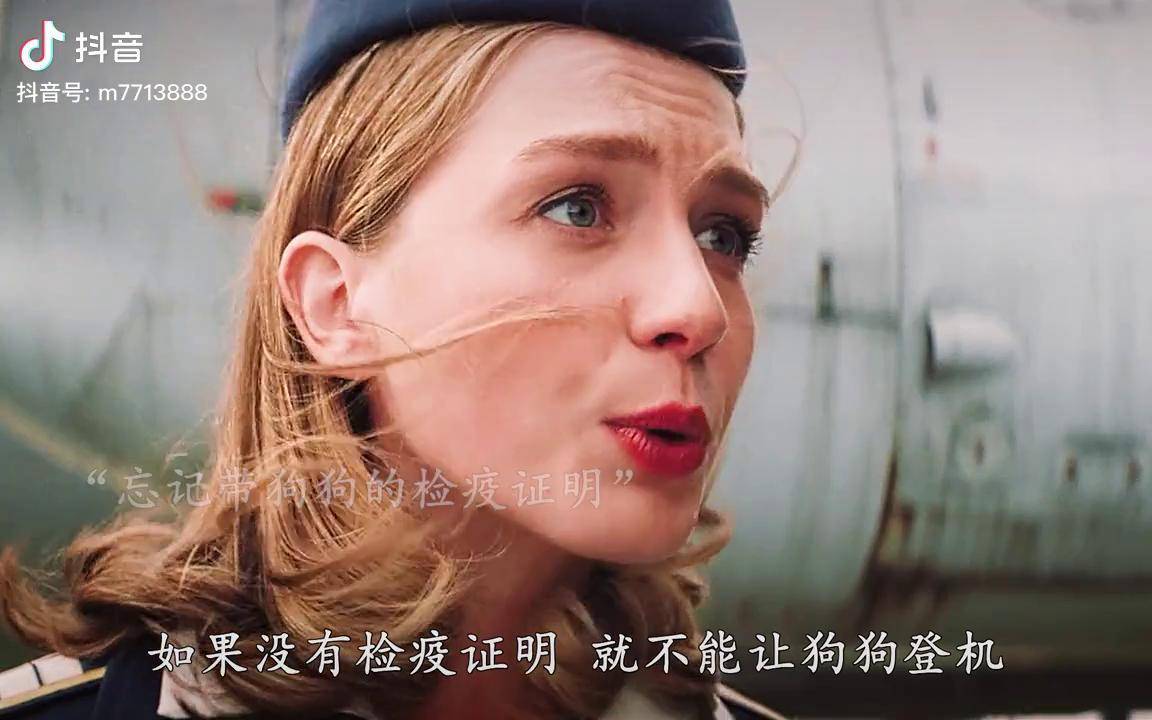 电影忠犬帕尔玛预告电影忠犬帕尔玛 小男孩失去母亲,狗狗被主人抛弃