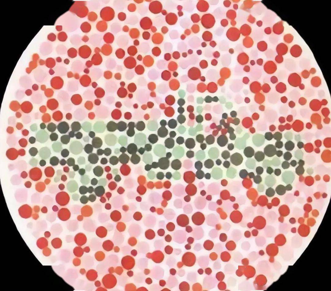 车管所新版色盲测试图,看不出这些,就基本告别方向盘了!