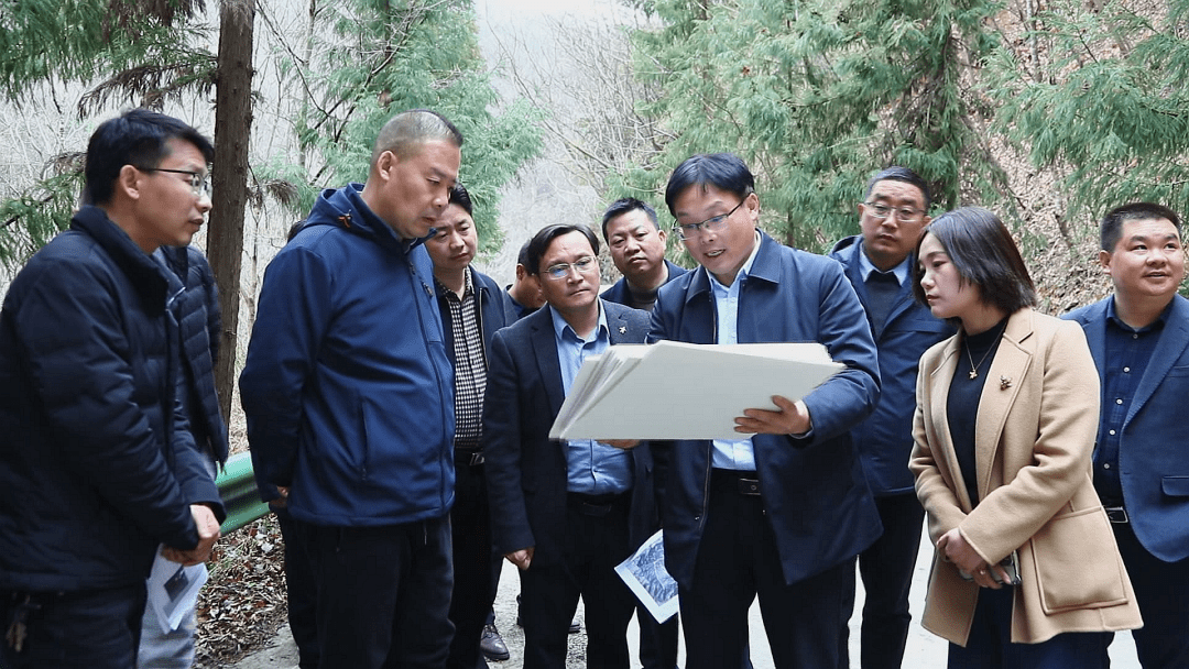 陈佳斌专题调研森林康养产业项目及道路建设情况_生态
