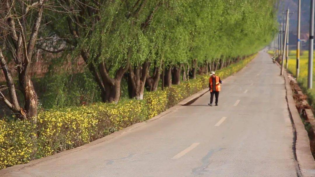 赵文泽是密祉镇绿美农村公路的管护员之一,他平日负责打扫路面,树枝
