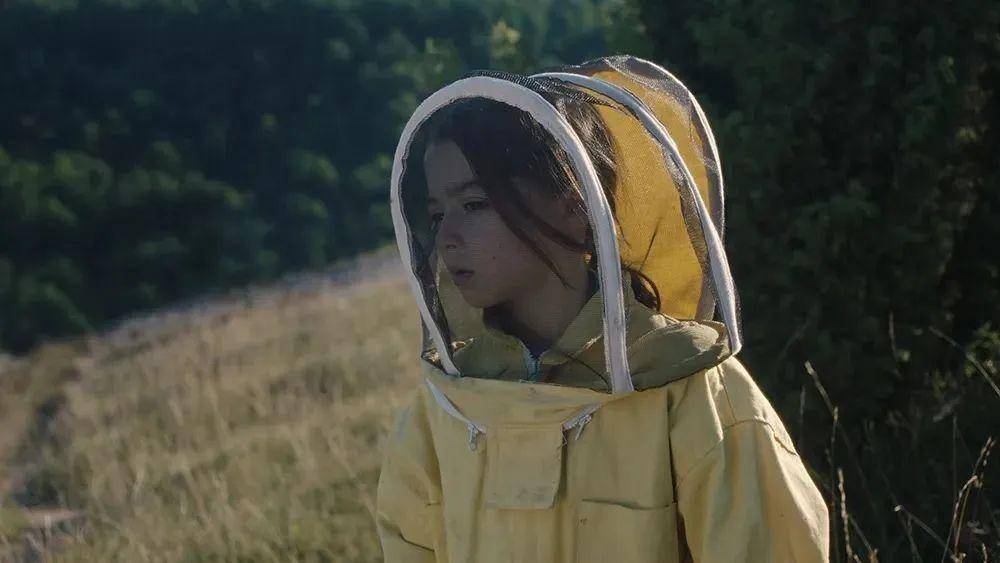 2023[剧情][两万种蜜蜂/20,000 Species of Bees]高清资源网盘下载图片 第2张