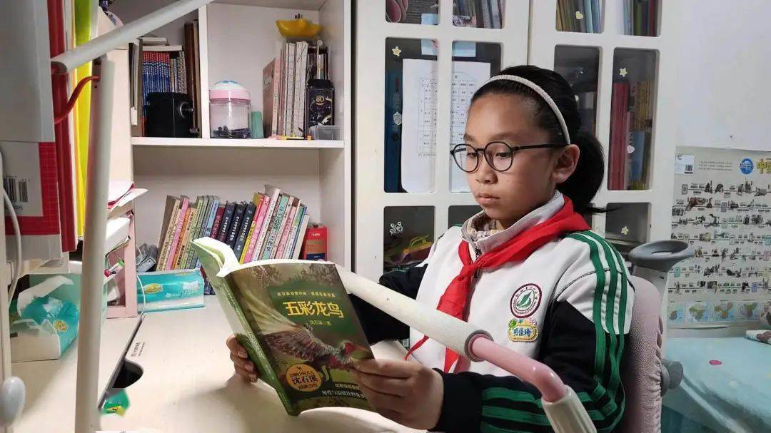 《上下五千年》《山海经》《资治通鉴的故事》《五彩龙鸟》《斑羚飞渡