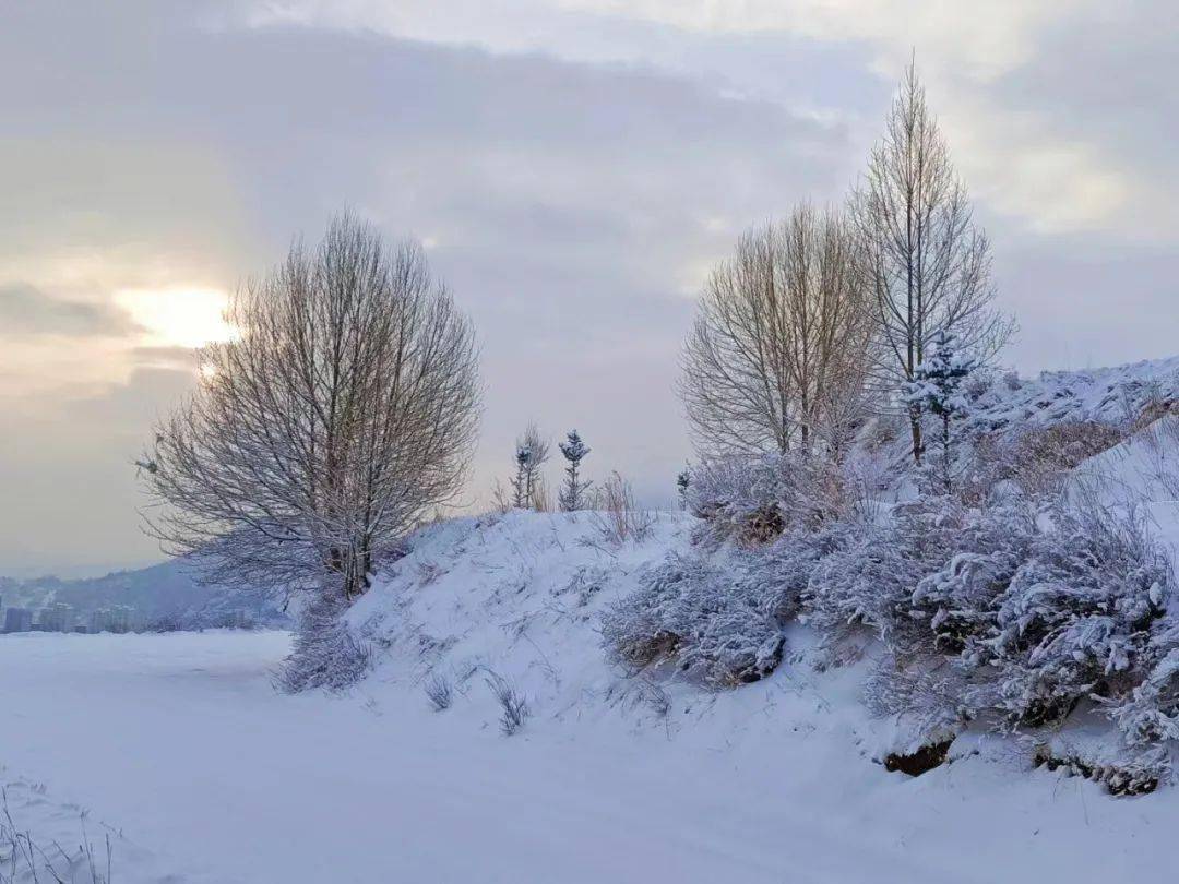 西宁雪景图片