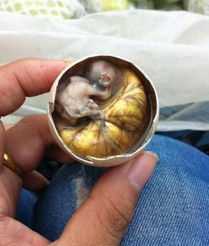 浙江那些奇特又恐怖的"美食"!很多人不敢吃!你敢吗?_地区_童子蛋_特点